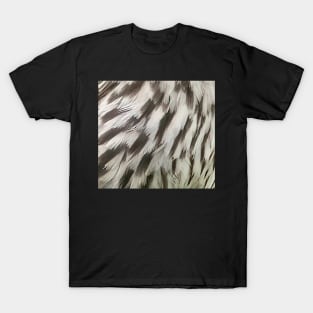 Feathers of a female Red Winged Blackbird T-Shirt